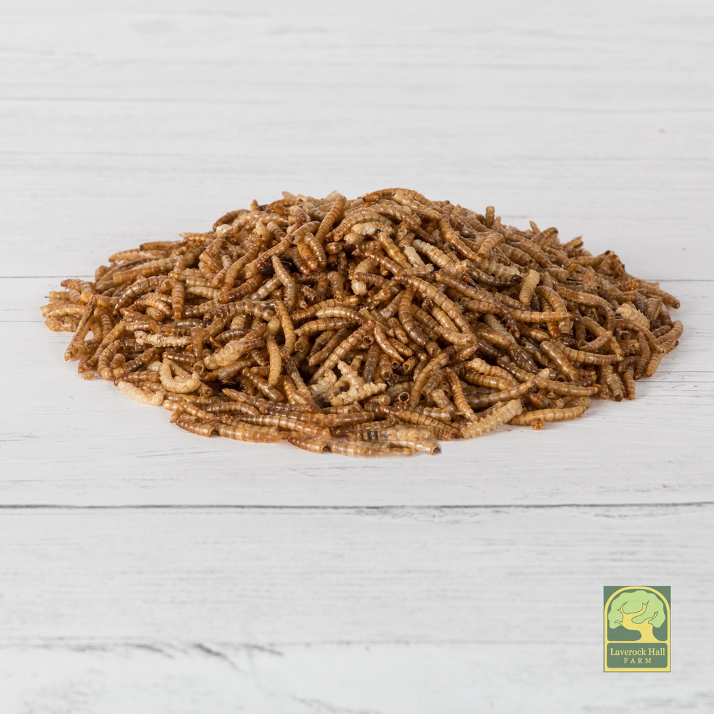 Laverock Bird food - Dried Mealworms-1